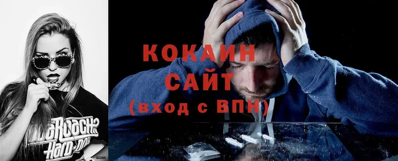 Cocaine Fish Scale  купить закладку  Змеиногорск 