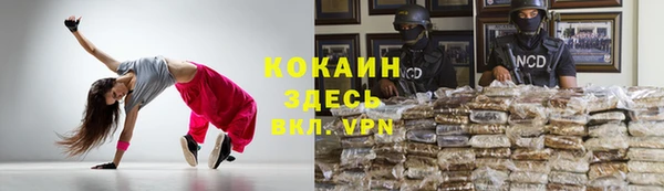 метадон Михайлов