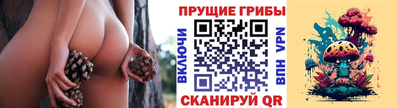 Псилоцибиновые грибы мухоморы  Змеиногорск 